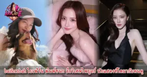 baifernbah ใบเฟิร์น